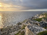 IMG_9404.jpeg