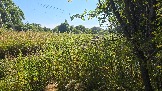 20260801_163333.jpg