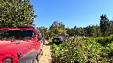 Трофи-лайф фото 4х4 покатушка Волоколамский Кремль 07.09.2024 - (15).png