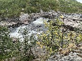 IMG_9380.jpeg