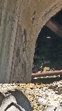 20250503_105700.jpg
