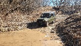 20250316_115443.jpg