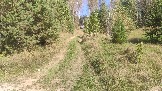 Трофи-лайф фото 4х4 покатушка Каширский Зигзаг 07.09.2024 -  (100).jpg
