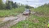 20260510_164825.jpg