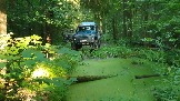 20240803_180555.jpg
