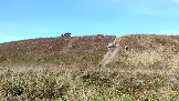 Трофи-лайф фото 4х4 покатушка Можайские Тропы 21.09.2024 -  (64).png