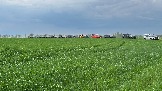 IMG_0909.jpg