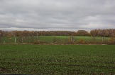 IMG_8553.jpeg