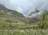 IMG_8475.JPEG