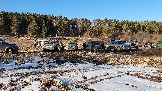 20250308_164113.jpg