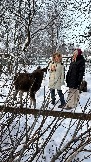 IMG_3446.JPG
