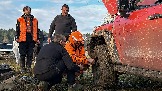 IMG_7585.jpg