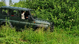 Моментальный снимок 1 (12.07.2023 21-25).png