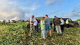 IMG_1394.jpg