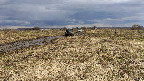 Трофи-лайф фото 4х4 покатушка Ступинский Крюк 18.04.2026 - 40.jpg