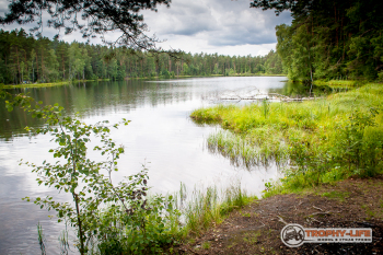 _MG_6407.jpg