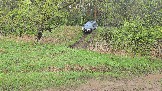 20250502_162340.jpg