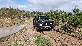 20250426_114514.jpg