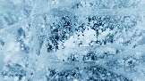 DJI_0650.JPG