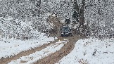 20251115_123725.jpg