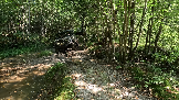 Трофи-лайф фото 4х4 Корпаративный Джип-тур в Яхроме 17.08.2024 - (50).png