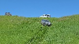 20260606_132443.jpg