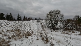 Трофи-лайф фото 4х4 покатушка Подвиги Русского Солдата 02.01.2025 - (53).jpg