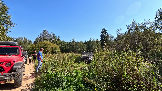 Трофи-лайф фото 4х4 покатушка Волоколамский Кремль 07.09.2024 - (8).png
