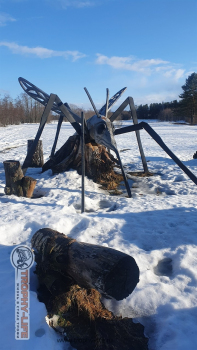Фото Трофи-лайф 4х4 покатушка Шелковый Путь 26.03.22 - 137.jpg