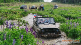 14нпон92.png