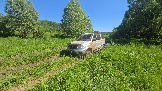 20260606_151300.jpg