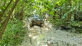 Трофи-лайф фото 4х4 покатушка Володарские Овраги 20.07.2024 -  (207).jpg
