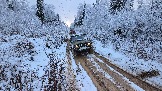 20251115_122749.jpg