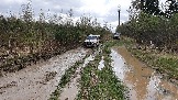 20250426_121335.jpg