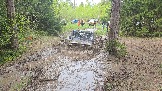 20260510_113212.jpg