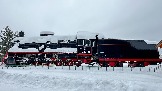 IMG_7602.jpg