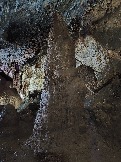 2026-05-08 14-39-07.JPG