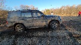 20250308_171250.jpg