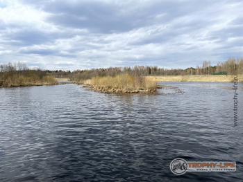 Фото Трофи-лайф 4х4 покатушкаэкспедиция Тверской Край 1-2.05.22 - 225.JPG