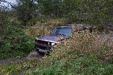 IMG_8915.jpeg