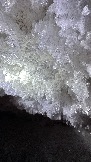 75A61025-CCFB-4447-937B-6770AF8E00D6.jpeg