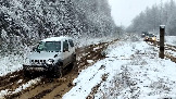 Трофи-лайф фото 4х4 покатушка Можайские Тропы 15.11.2025 - (9).jpg
