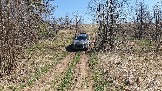20250420_121003.jpg