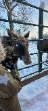 IMG_3280.JPG