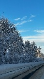 IMG_2756.JPG