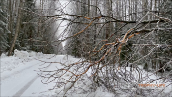 Фото Трофи-лайф 4х4 покатушка Музеи Переславля 23.02.22 - 142.jpg