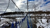 IMG_1319.jpg
