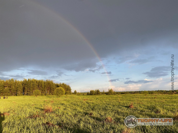 Фото Трофи-лайф 4х4 покатушка Шелковый Путь 28.05.22 - 254.jpeg