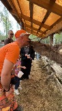 IMG_2966.JPG