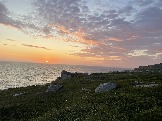 IMG_9427.jpeg